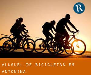 Aluguel de Bicicletas em Antonina